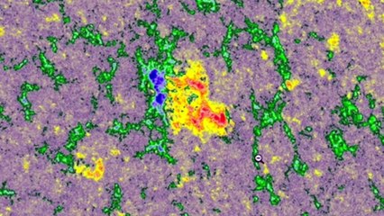 Solar Filaments, SSBC, SOTO | S0 News April 2, 2015