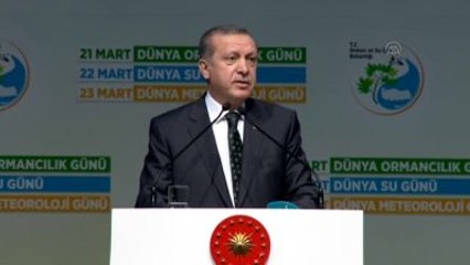 Erdoğan: "Tüm Şehirlerimize 200 Bin Çınar Ağacı Dikilecek"