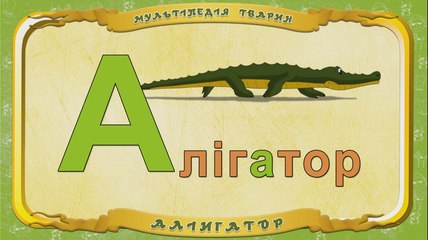 Мультіпедія тварин. Літера А - Алігатор