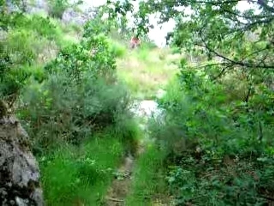 st jacut2