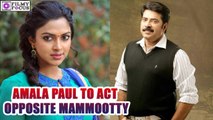 Amala Paul to act opposite Mammootty