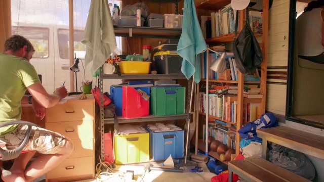 Les Dauphins De Shark Bay