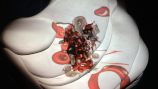 Exposition Croisements numériques