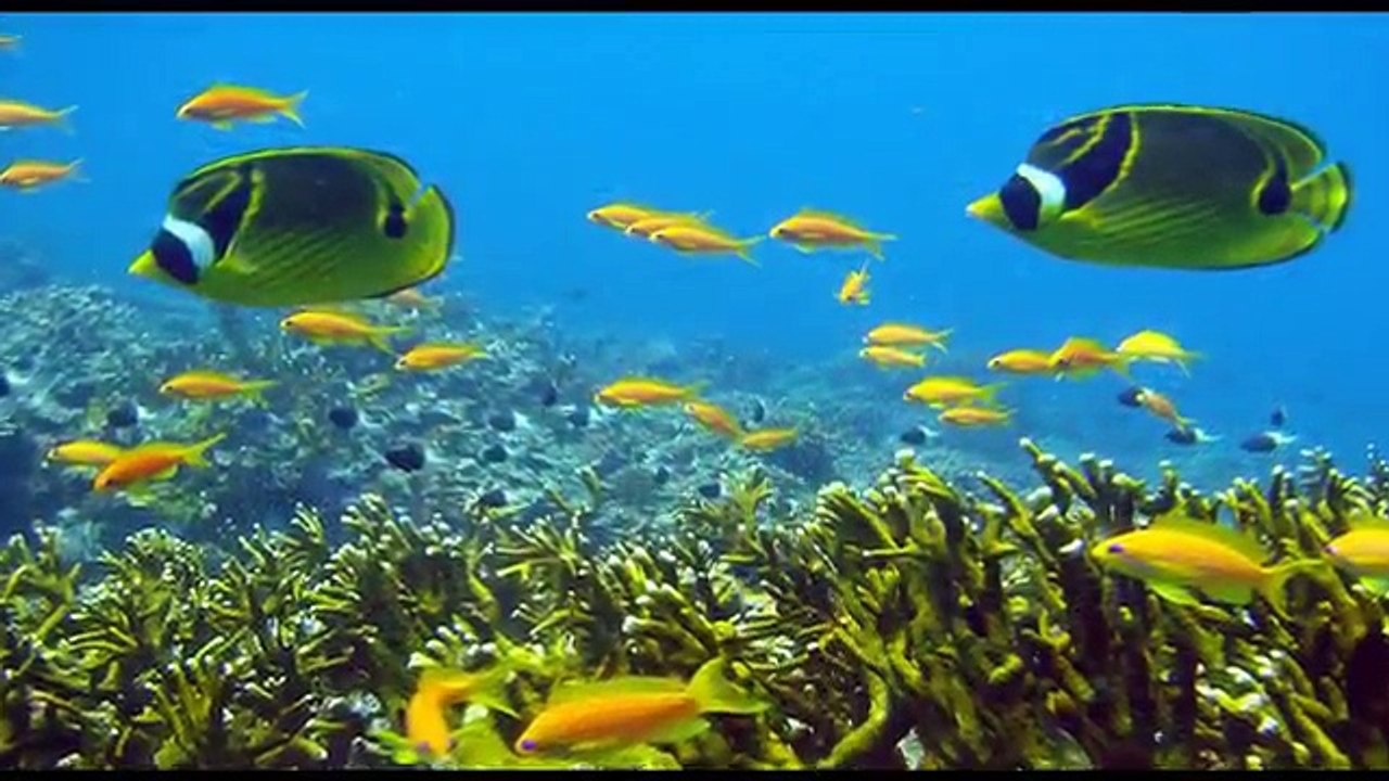 Tanzania- Top 10 Tourist Attractions - Video Travel Guide