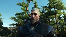 The Witcher 3 Trial of the Grasses EXPLAINED [The Witcher Lore]