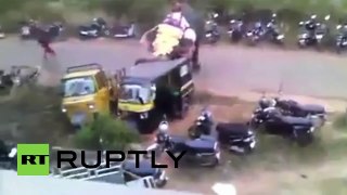 Un elefante ataca varios vehículos durante una celebración en la India