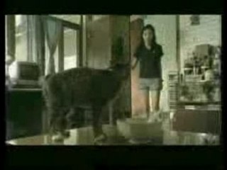 Publicité thaïlandaise