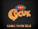 Canlı TV TRT Çocuk canlı yayın izle