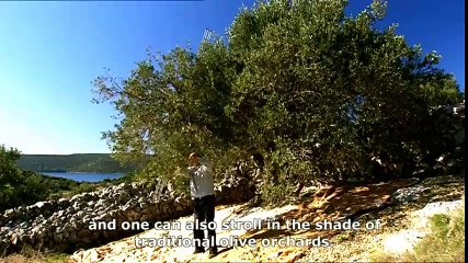 Vransko lake - National Park / Nature Park, Biograd na Moru