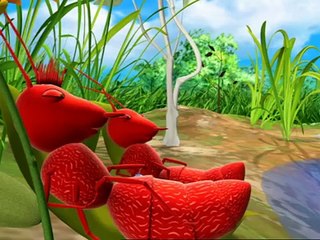 Miss Spider: EINE SCHLANGEN SCHRECK GESCHICHTE/KRABBLOWEENSPEKTAKEL 13