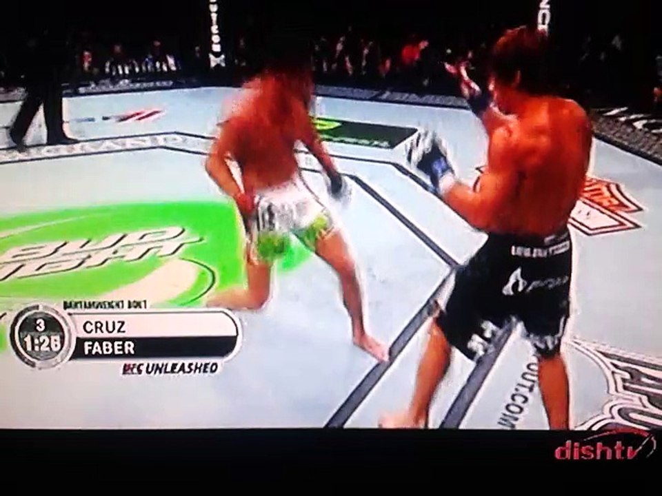 deadly Fighting in rings
