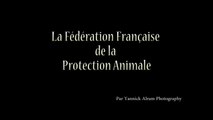 Fédération Française de la Protection Animale