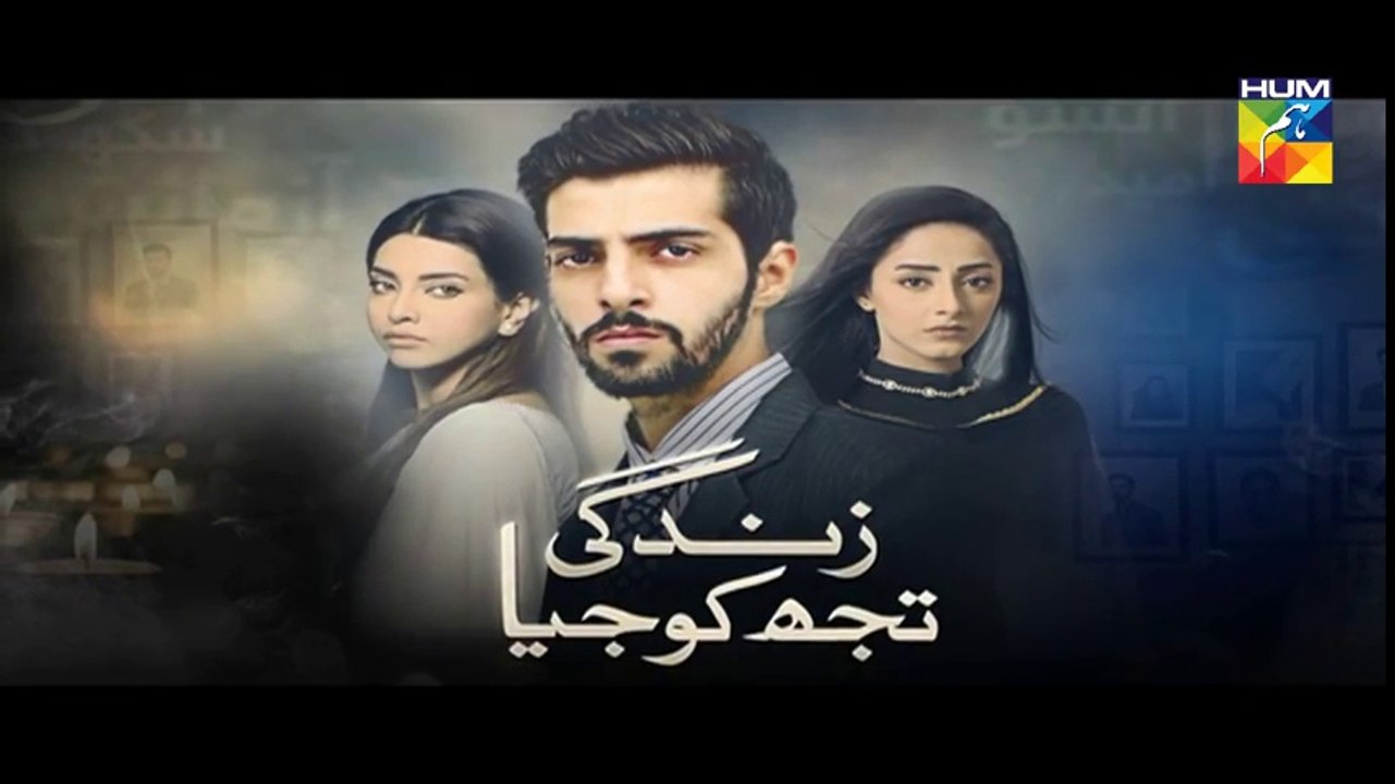 Zindagi Tujh Ko Jiya Episode 17 Full HUM TV Drama 21 Mar 2016
