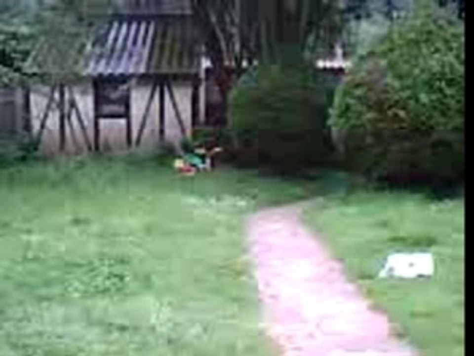 bébé jackass 3
