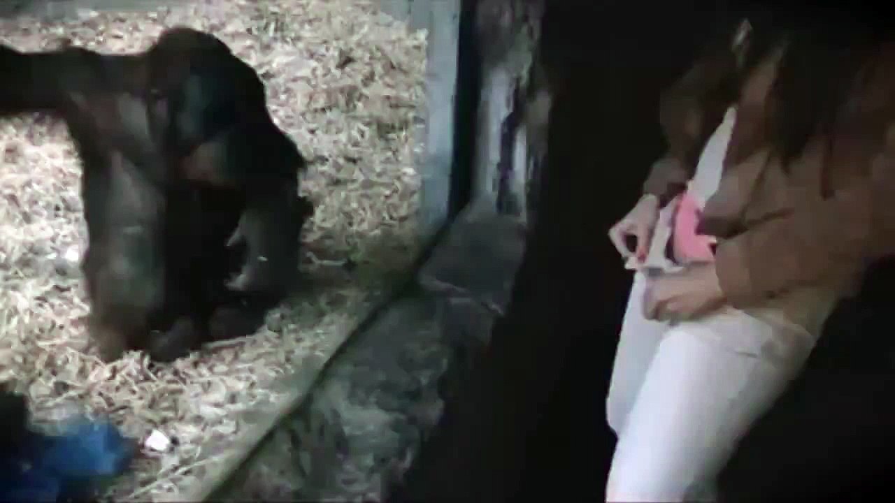 intersting video must watch
