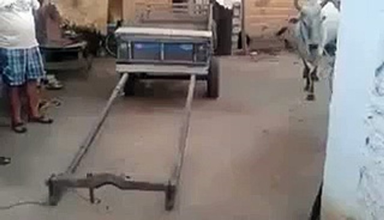 must watch
