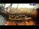 KANDAN JI SEJ EPISODE 399 21 MARCH 2016 KTN TV SINDHI DRAMA