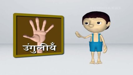 Parts Of The Body | Kids Cartoon Animation Learn Series In Hindi | HD