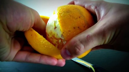 10 Survival Life Hacks Compilation