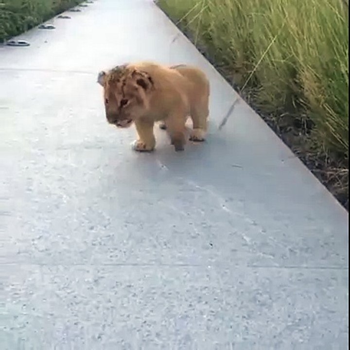 This is how my heart exploded