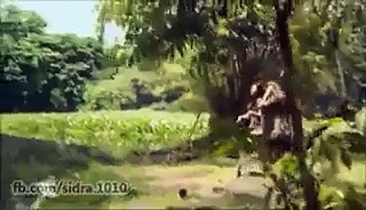 GIRL ACCIDENT
