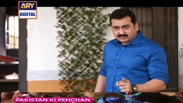 Watch Mohe Piya Rung Laaga Episode – 33 – 21st March 2016 On ARY Digital