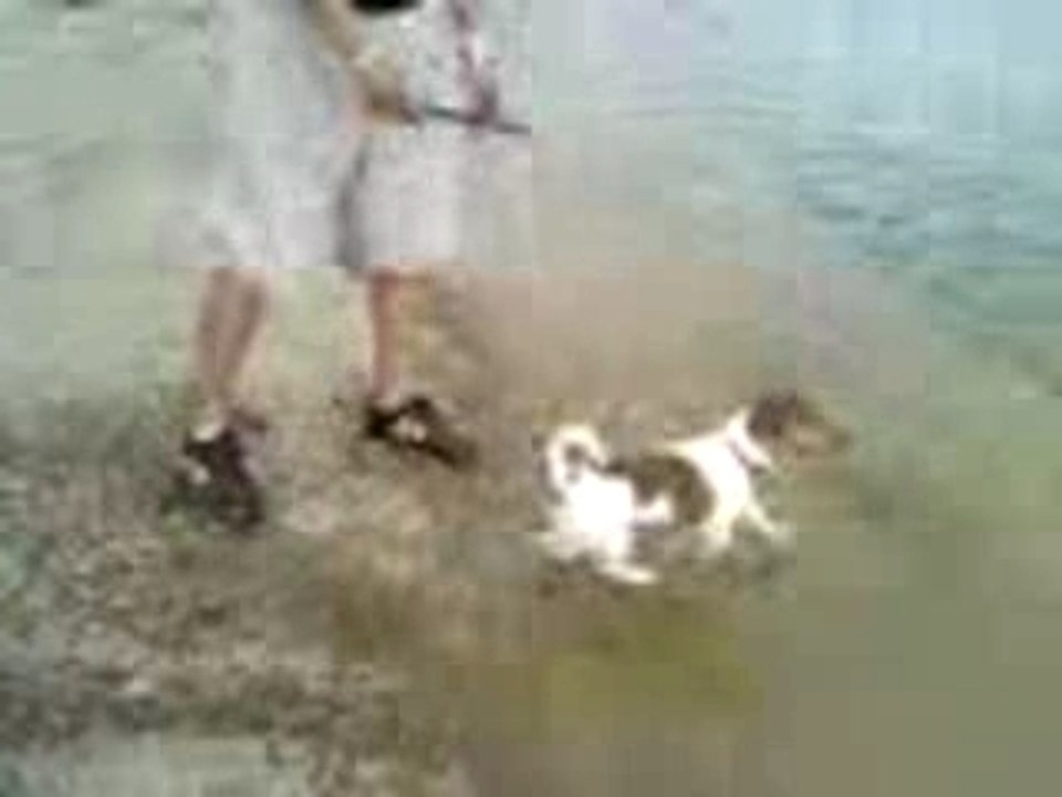 Video-0004