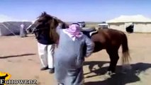 Funny Arab - Most Funny Arab Videos on Youtube