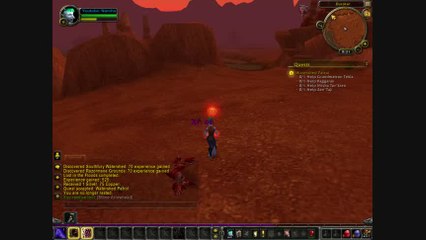 WoW Gameplay #020