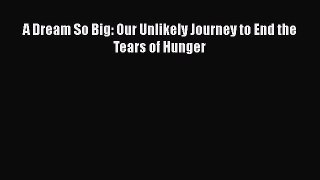 Download A Dream So Big: Our Unlikely Journey to End the Tears of Hunger Free Books