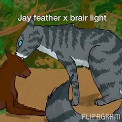 Flipagram - Jay feather x brair light (1)