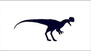 ASDC - Monolophosaurus vs Angaturama