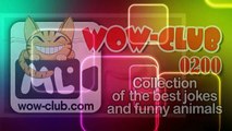 The Best Jokes and Funny Animals Compilation WOW-club #0205