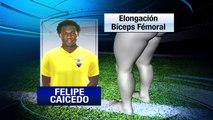 Últimos lesionados de Ecuador para las Eliminatorias