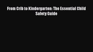 Download From Crib to Kindergarten: The Essential Child Safety Guide  Read Online
