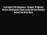 Read Your Soul's Gift eChapters - Chapter 13: Mental Illness: Healing the Power of the Life