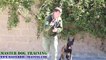 K9 Police Dog Training - Police Tactics
