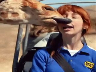 ПРИКОЛЫ 2016 СМЕШНЫЕ ПРИКОЛЫ про Животных Funny videos 2016