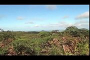 Galapagos Islands RARE ANIMALS HD 103