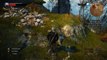 The Witcher 3 Mastercrafted Ursine Armor Location [Full Armor Set]