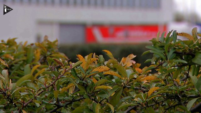 Violences contre des cadres d'Air France: les 4 salariés licenciés reclassés