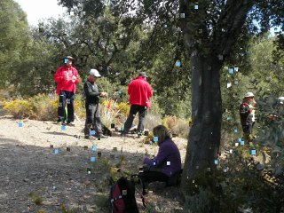 Salida_20032016 (Cruce de Alfornón - Haza del Lino - Cerro Salchicha)