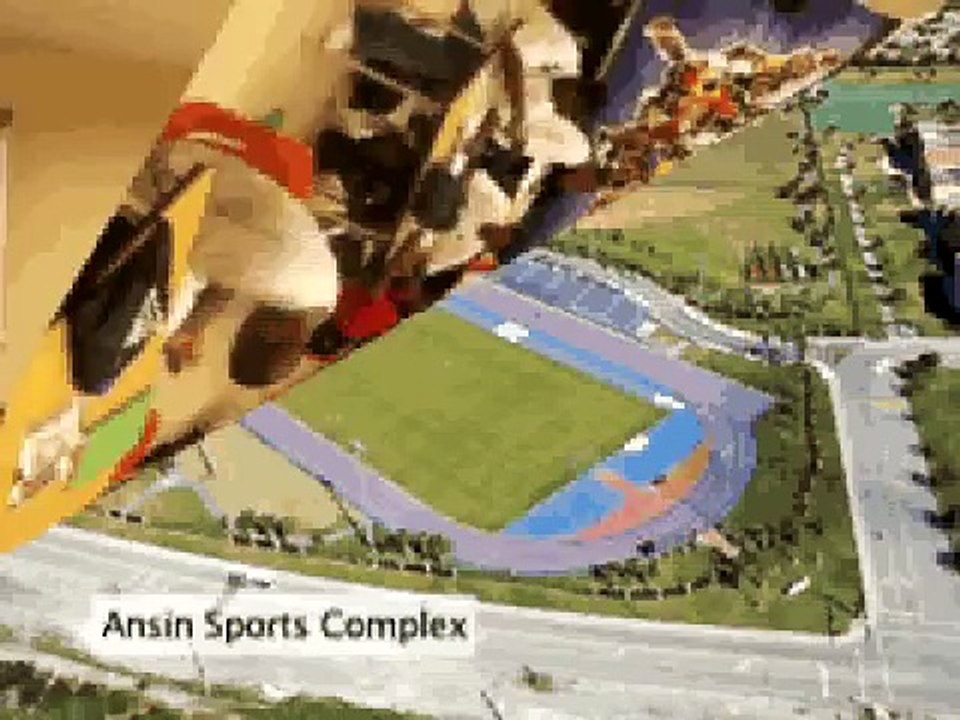 Commissioner on a Mission