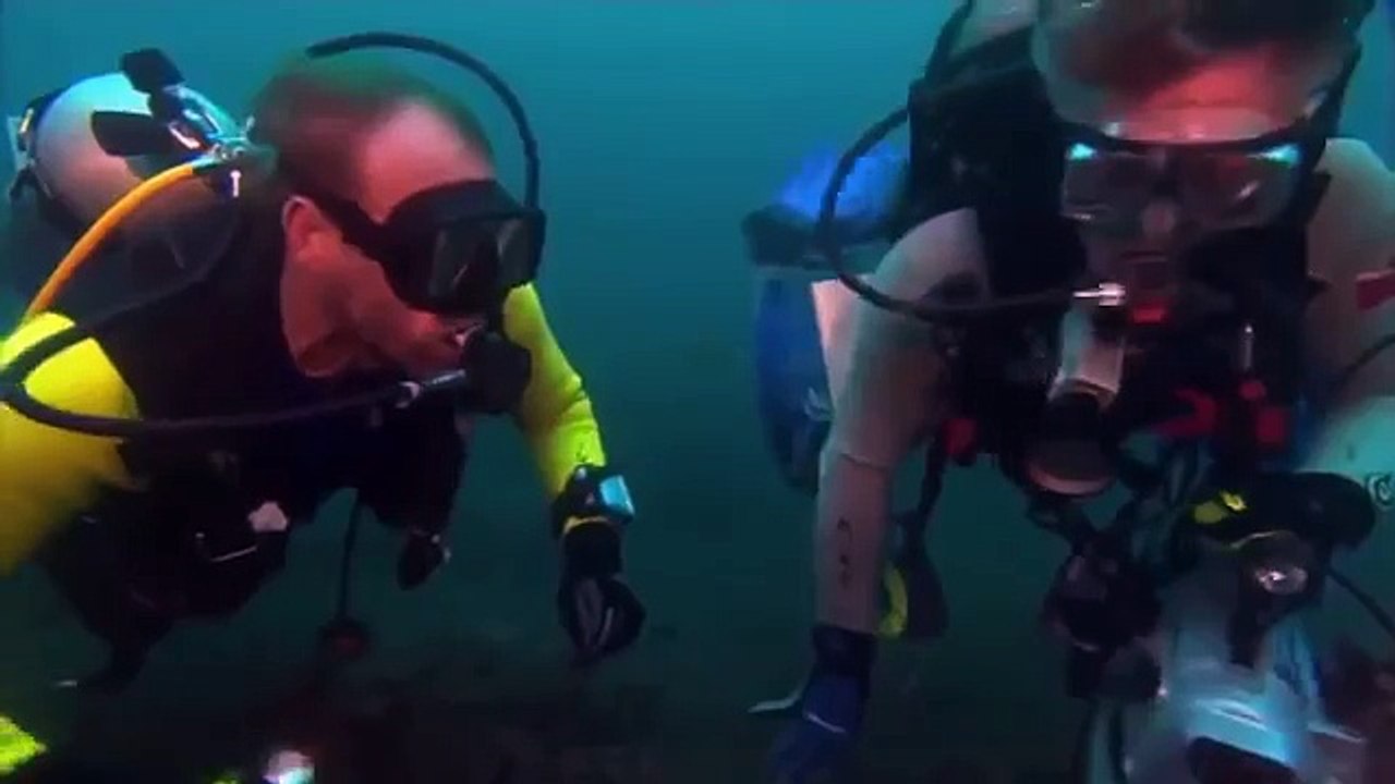 Giant pacific octopus 51
