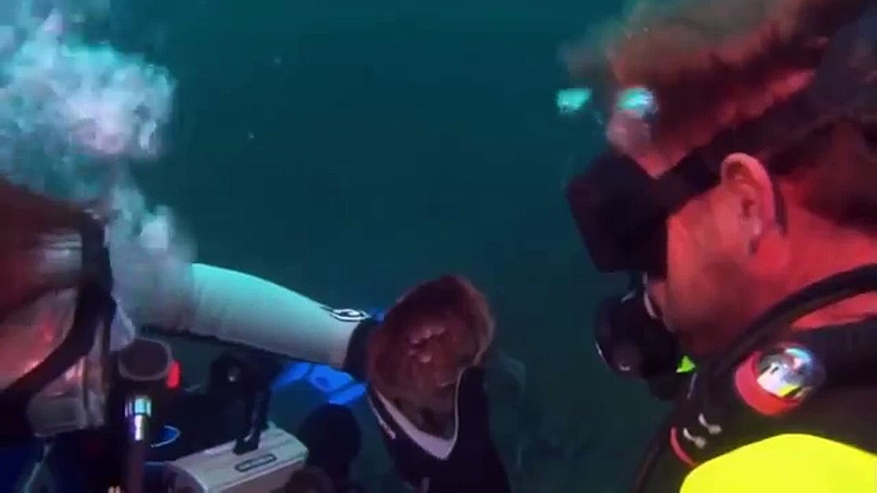 Giant pacific octopus 55