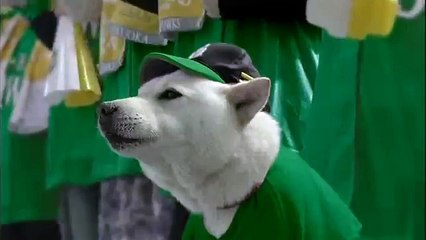 [CM]福岡ソフトバンクホークス 「鷹の祭典2012」篇(15秒)