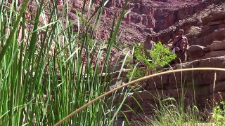 KID CAM MIX swimming hole hike