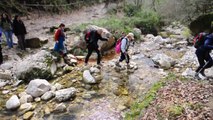 DOM.13-03-16: MONTE LA BANDITA E I PIANI DI STIGLIANO NELLA RISERVA DI CANALE MONTERANO.