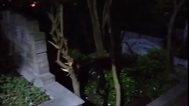 Sabır sınavıdır ömür dediğin... Cengiz Numanoğlu'nun şiirine klip