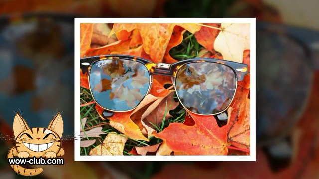 The Best Jokes and Funny Animals Compilation WOW club #0187